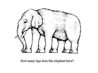 Elephant illusion