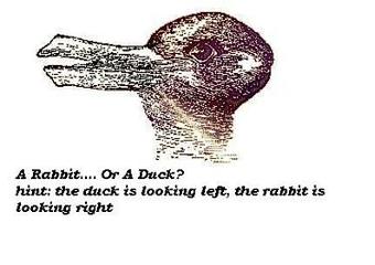 Rabbit or Duck illusion